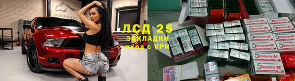 прущие грибы Лихославль
