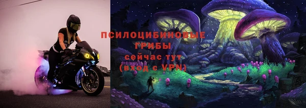 прущие грибы Лихославль