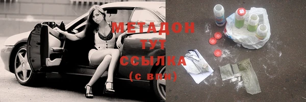 прущие грибы Лихославль