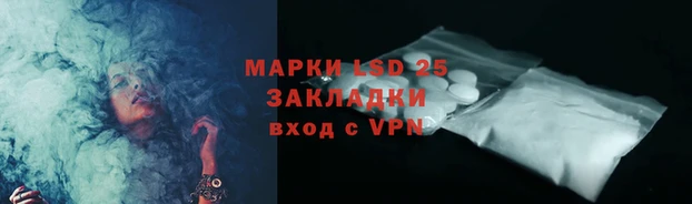 прущие грибы Липки