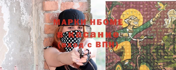 прущие грибы Липки