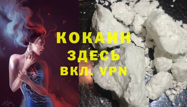 прущие грибы Лихославль
