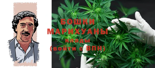 прущие грибы Лихославль