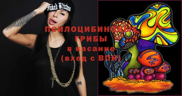 прущие грибы Лихославль