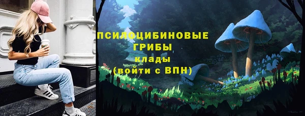 прущие грибы Лихославль