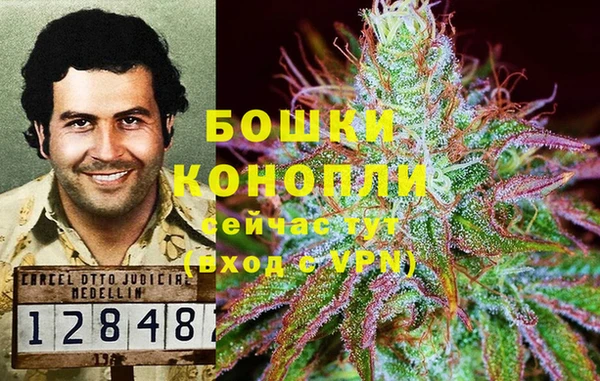 прущие грибы Липки