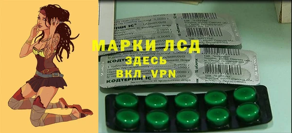 прущие грибы Липки