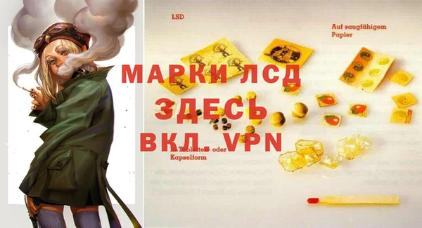 прущие грибы Лихославль